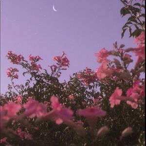 Meet your Posher, Merin